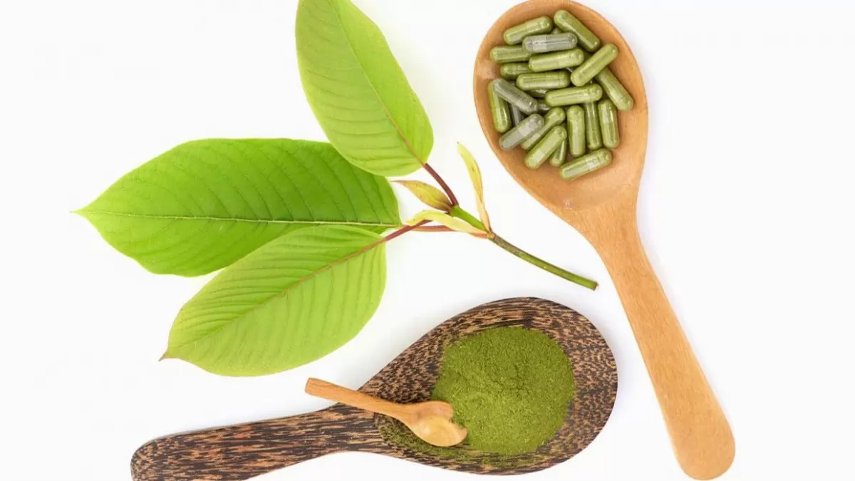 Unlocking the World of Kratom Blends and Mixtures: Where to Find Them Online